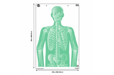 Image of EZ-Aim Fun Group Paper Target Assortment, 12inW x 18inH, 3-Pack, Green, 15651