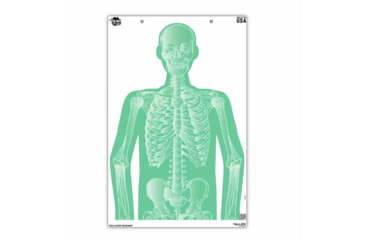 Image of EZ-Aim Fun Group Paper Target Assortment, 12inW x 18inH, 3-Pack, Green, 15651