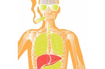 Image of EZ-Aim Fun Makin Bones About It Silhouette Paper Shooting Target, 23inW x 35inH, 3-Pack, 15656