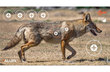 Image of EZ-Aim Splash Non-Adhesive Coyote Target, Green, 13X24, 15266