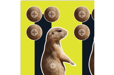 Image of EZ-Aim Splash Non-Adhesive Prairie Dog Target, Green, 8X8, 15264