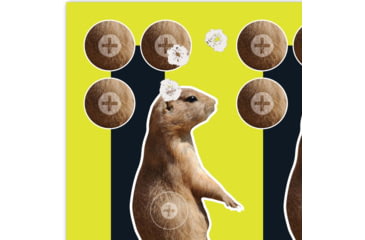 Image of EZ-Aim Splash Non-Adhesive Prairie Dog Target, Green, 8X8, 15264