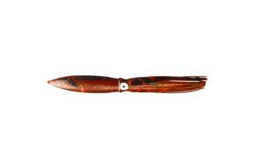 Image of Fathom Shell Squid