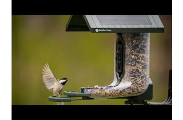 Image of FeatherSnap Scout Version 1 Bird Feeder, Clear/Green, Small, FSBF001