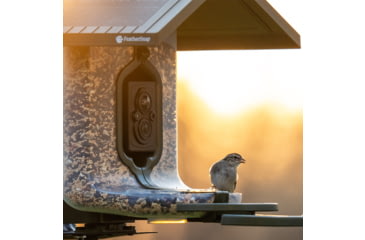 Image of FeatherSnap Scout Version 1 Bird Feeder, Clear/Green, Small, FSBF001