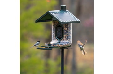 Image of FeatherSnap Seed Feeder, Green, FSBF001
