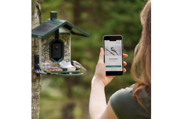 Image of FeatherSnap Scout Version 1 Bird Feeder, Clear/Green, Small, FSBF001