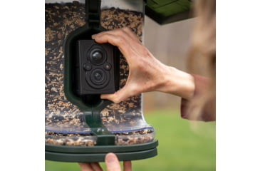 Image of FeatherSnap Scout Version 1 Bird Feeder, Clear/Green, Small, FSBF001