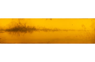 Image of Federal 7mm Backcountry 175 Grain Fusion Tipped Peak Alloy Rifle Ammo, 20 Rounds, F7BCTFS2