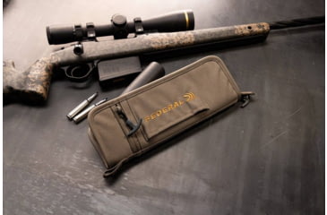 Image of Federal Suppressor Case