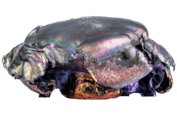 Image of Federal Premium American Eagle 5.56x45mm NATO 55 Grain Jacketed Soft Point Brass Cased Centerfire Rifle Ammo, 20 Rounds, 556A