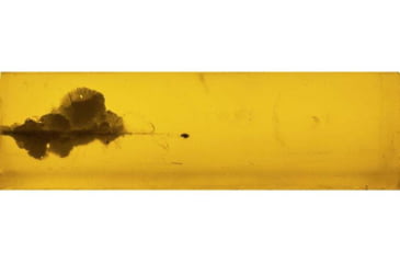 Image of Federal Premium American Eagle 5.56x45mm NATO 55 Grain Jacketed Soft Point Brass Cased Centerfire Rifle Ammo, 20 Rounds, 556A