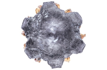 Image of Federal Premium Centerfire Handgun Ammunition .45 ACP 230 grain Jacketed Hollow Point Centerfire Pistol Ammo, 20 Rounds, PD45P1