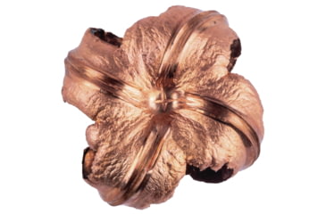 Image of Federal Premium Rifle Ammo, .30-06 Springfield, Barnes Triple-Shock X, 180 grain, 20 Rounds, P3006AE