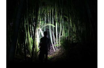 Image of Fenix Rechargeable Focusable LED Headlamp CREE XP-L HI V2 LED 600 Lumens Includes Built-In Li-Poly Battery Pack, Blue, HL40XPBL