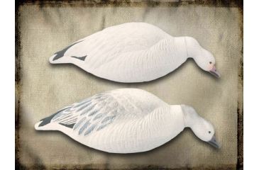 Image of Final Approach Last Pass 12 Pack Snow Goose, Shells Feeder, Box