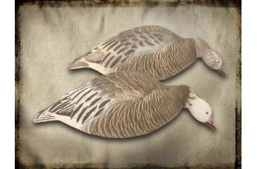 Image of Final Approach Last Pass 12 Pack Blue Goose, Shells Feeder, Box