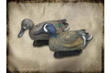 Image of Final Approach FA Gunners HD Blue-Winged Teal 474310 w/ Free S&amp;H