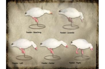 Image of Final Approach FA Last Pass HD Snow Goose Full-Body (Feeders) 474191 w/ Free S&amp;H