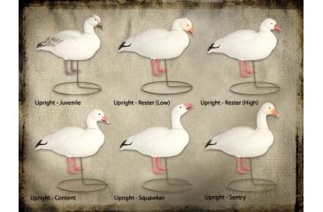 Image of Final Approach FA Last Pass HD Snow Goose Full-Body (Uprights) 474190 w/ Free S&amp;H