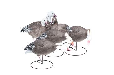 Image of Final Approach Last Pass HD Blue Goose, Outfitters 6 Pack 474199FA