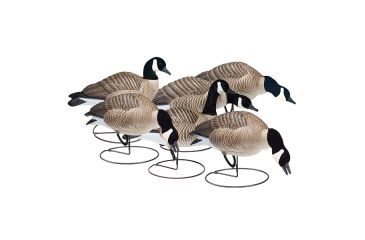 Image of Final Approach Last Pass HD Lesser Canada, Outfitters 6 Pack 474174FA