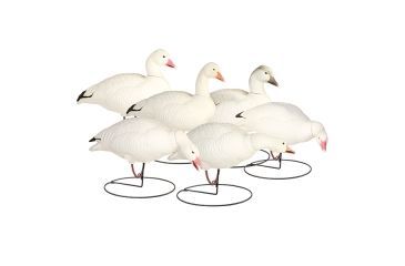 Image of Final Approach Last Pass HD Snow Goose, Outfitters 6 Pack 474192FA