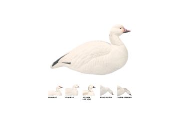 Image of Final Approach Last Pass HD Snow Goose, Shells Outfitters 12 Pack 474188
