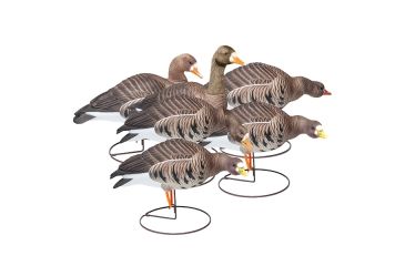 Image of Final Approach Last Pass HD Speckle Belly, Outfitters 6 Pack 474183FA