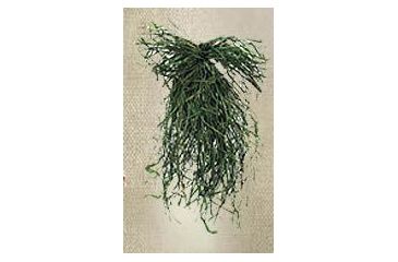 Image of Final Approach Whoopgrass - Field Green 467110