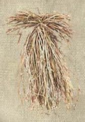 Image of Final Approach Whoopgrass - Marsh Tan 467100