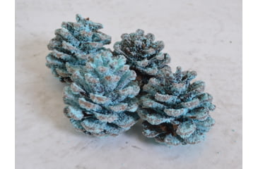 Image of Firebuggz Magical Campfire Cones 4 Pack