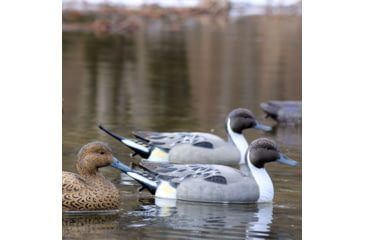 Image of Flambeau Classic Pintail Decoy, Grey/Black, 8022SUV