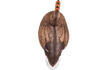 Image of Flambeau Master Series Mallard Floater Decoys, Color 1 : Multi, 1812DPK