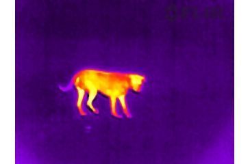 Image of FLIR Systems Scout TK Pocket-Sized Thermal Monocular, Detector 160 X 120, Black/Green 431-0012-21-00S