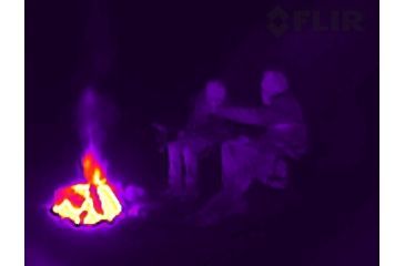 Image of FLIR Systems Scout TK Pocket-Sized Thermal Monocular, Detector 160 X 120, Black/Green 431-0012-21-00S