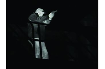 Image of FLIR Systems LS-XR Compact Handheld Thermal Nightvision Monocular Output, EDEMO1