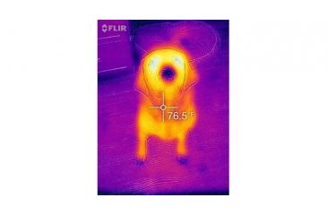 Image of FLIR Systems One Thermal Image Device for Iphone 5/5S 43500010100