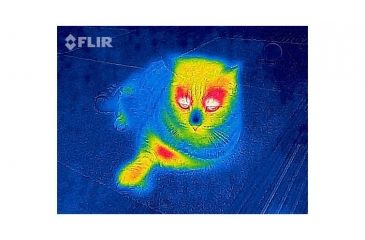 Image of FLIR Systems One Thermal Image Device for Iphone 5/5S 43500010100