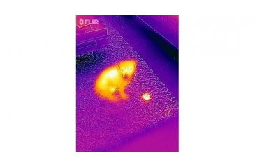 Image of FLIR Systems One Thermal Image Device for Iphone 5/5S 43500010100