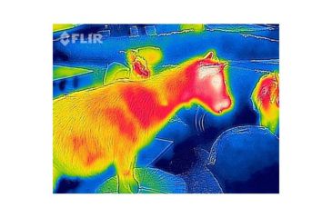 Image of FLIR Systems One Thermal Image Device for Iphone 5/5S 43500010100