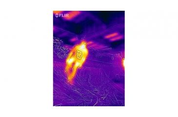 Image of FLIR Systems One Thermal Image Device for Iphone 5/5S 43500010100