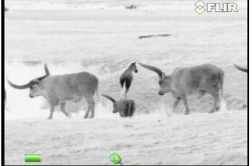 Image of FLIR Systems Scout III Thermal Imager, Detector, Black/Brown 431-00xx-31-00