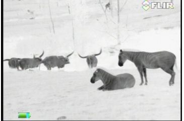 Image of FLIR Systems Scout III Thermal Imager, Detector, Black/Brown 431-00xx-31-00