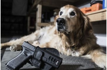 Image of Fobus Rapid Release Systems Level 2 Holster in Use