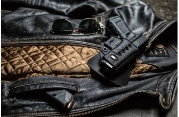 Image of Fobus E2 Paddle Holster, Black, Right Hand - For Glock 17/31, Walther PK 380 GL2E2, EDEMO1