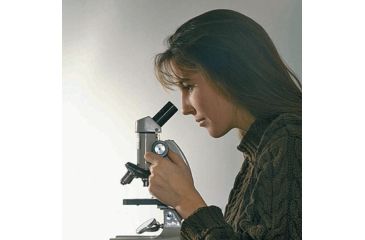 Image of Forensics Source Myst At 323 Maple Fors Simul - 36-6008