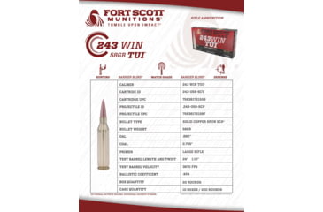 Image of Fort Scott Munitions 243 WINCHESTER 58 Grain Centerfire Rifle Ammo, 20 Rounds, 243-058-SCV