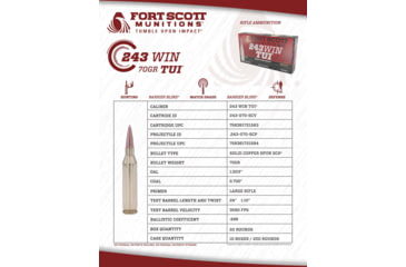 Image of Fort Scott Munitions 243 WINCHESTER 70 Grain Centerfire Rifle Ammo, 20 Rounds, 243-070-SCV