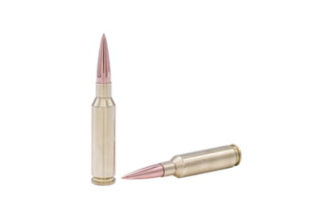 Image of 123gr Target Load